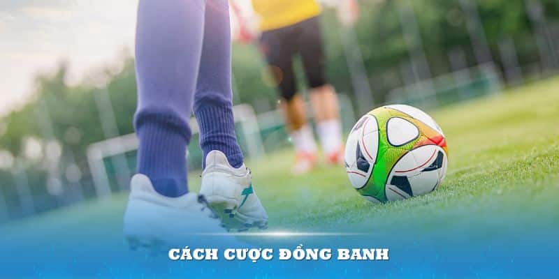 Cách cược đồng banh cho người mới bắt đầu