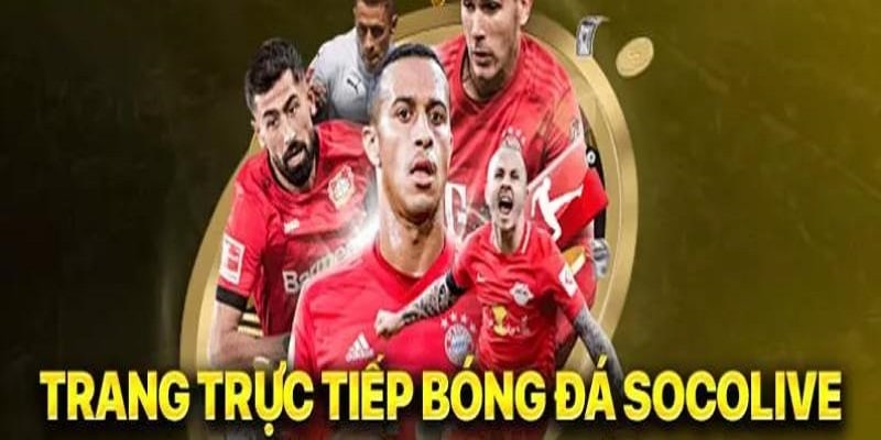 4 quy định trong chính sách miễn trừ trách nhiệm đối với website