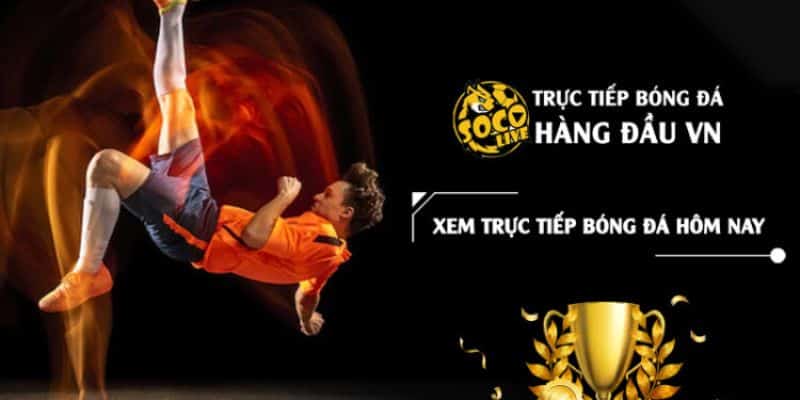 Hướng dẫn các bước vào trang thể thao đỉnh cao